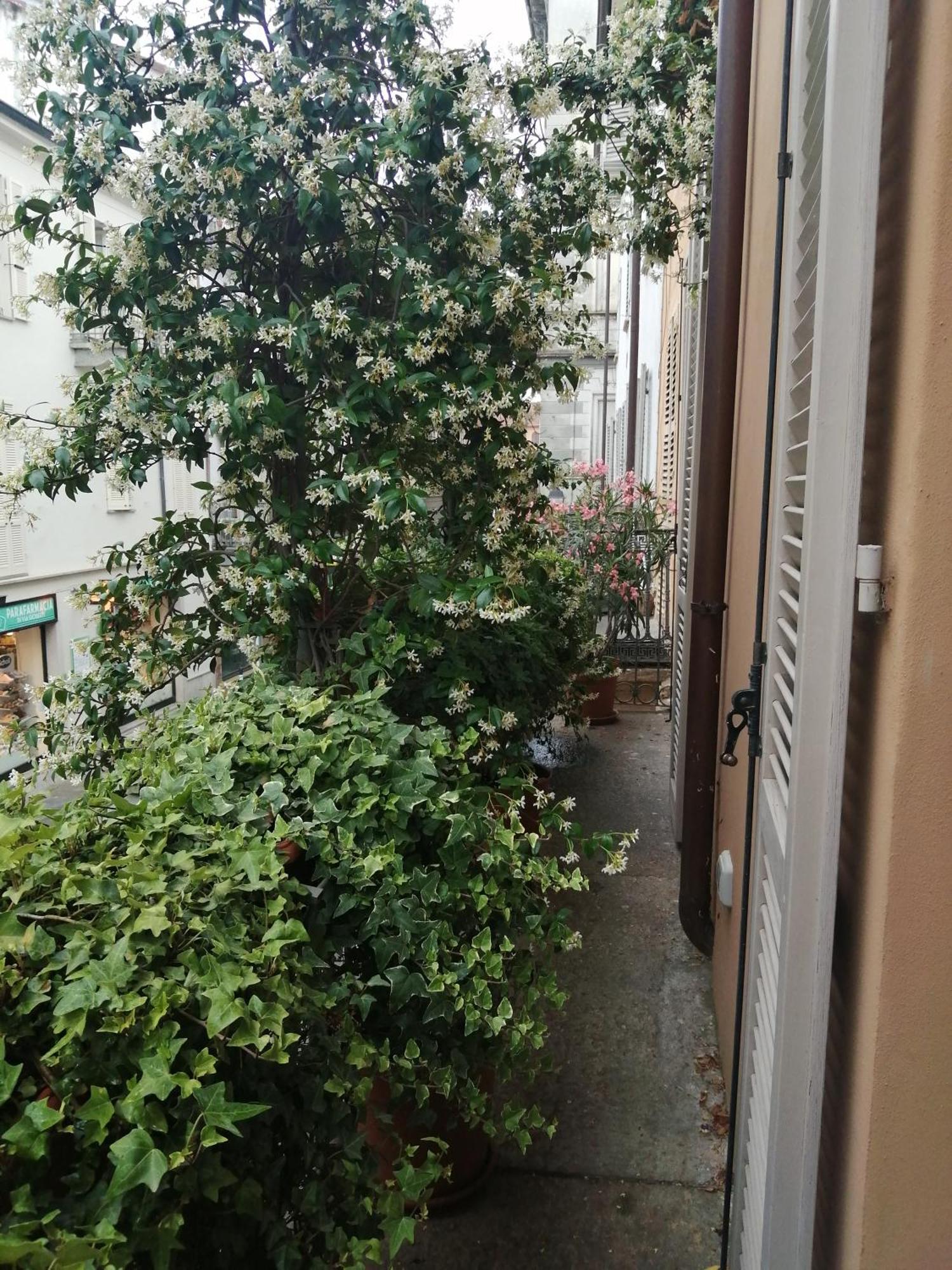 Appartement Le Melusine à Verceil Extérieur photo